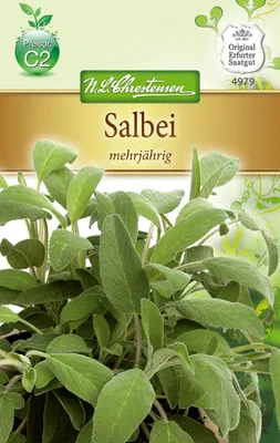 Produktbild von Salbei | Salbeisamen von N.L. Chrestensen