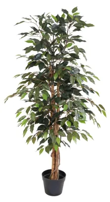 Immagine prodotto di Ficus Benjamina artificiale (albero di fico) da 130 cm in vaso – pianta artificiale realistica con fogliame fitto