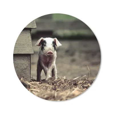 Produktbild von MuchoWow® Mauspad Mousepad Schwein - Stall - Baby 20x20 cm - Mousepads - Maus Mat - Pad - Mausunterlage - Schreibtischmatte