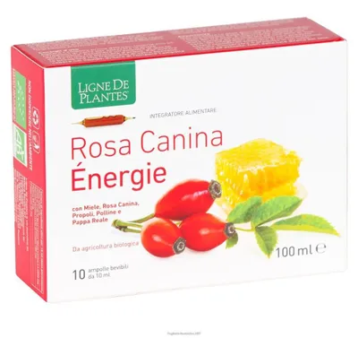 Immagine prodotto di Rosa Canina Energie Biologico 10 Ampolle Bevibili Da 10 Ml