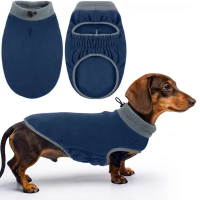 Immagine prodotto di Maglione per cani in pile, colore blu, taglia M