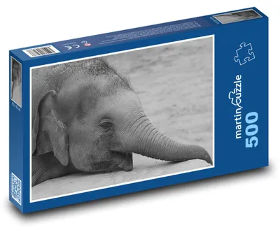 Obrázek produktu pro martinpuzzle - Puzzle 500 - Malý slon