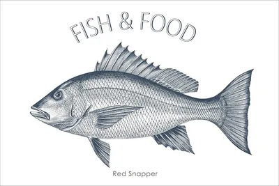 Produktbild von ESTAhome Wandtattoo Fisch Blau 70 x 46.5 cm