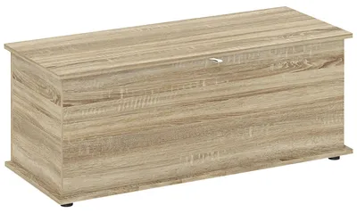 Image de Banc de rangement - Banc à chaussures - Coffre en bois avec charnière de sécurité - Design moderne, idéal pour l'entrée, la chambre à coucher ou le salon - 100x40x40 cm - Chêne