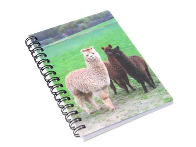 Produktbild von Cornelissen 1037647 Notizbuch Alpakas