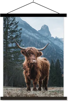 Produktbild von MuchoWow® Textilposter Schottisches Hochlandrind - Tiere - Wald 60x80 cm mit schwarzem Rahmen - Plakathalter