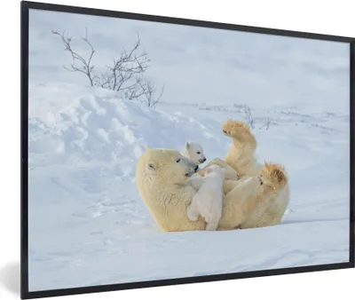 Produktbild von MuchoWow® MuchoWow® Gerahmtes Poster Eisbär - Schnee - Tiere 30x20 cm - Poster mit zchwarzem Bilderrahmen - Kunstdruck - Bild-Poster