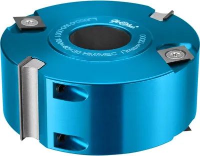 Image de GLOBUS Tête de rabotage avec encoches 100x30x H40