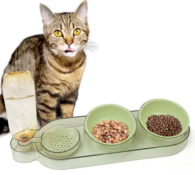 Produktbild von Dinner Station · Futterbar mit 2 Näpfen und Wasserspender · grün