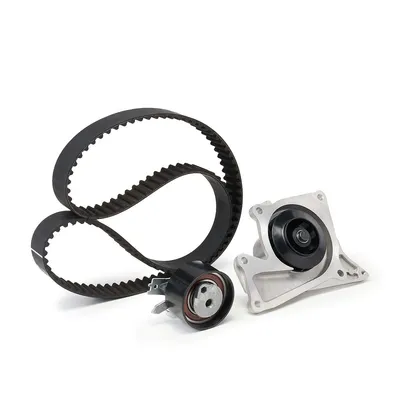 Produktbild von FEBI BILSTEIN 173163 Zahnriemensatz + Wasserpumpe für NISSAN Qashqai / Qashqai +2 I (J10, NJ10) für RENAULT Clio III Schrägheck (BR0/1, CR0/1)