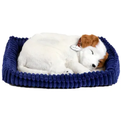 Immagine prodotto di Perfect Petzzz Jack Russell 96347