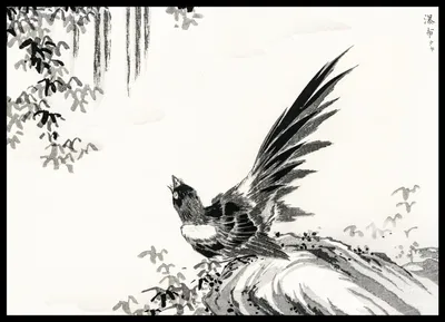 Zdjęcie produktu dla Plakat 70x50cm Magpie, Kashu Japoński Vintage do Salonu