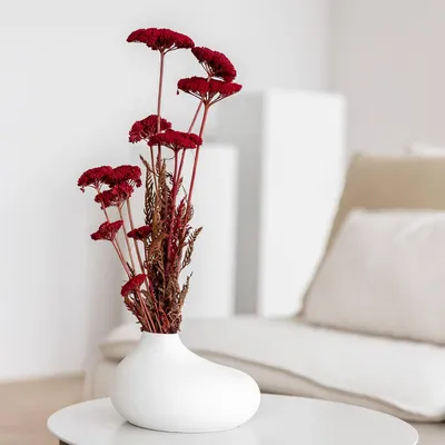 Immagine prodotto di Achillea essiccata - Achillea - 1 mazzo (circa 45-55cm) - Fiori secchi