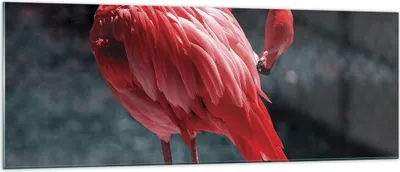 Produktbild von Bilder auf glas - Einteilig - Flamingo Rosa Vogel - 140x50cm - Glasbilder - Wandbilder - Bilder - zum Aufhängen bereit - Wanddekoration aus Glas - Glas Bilder - Wandbild auf Glas - GAB140x50-4551