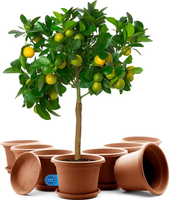 Produktbild von BigDean 8 Stück Blumentopf mit Untersetzer rund ø 35 cm Terrakotta – wetterfester Pflanzkübel Gefertigt in Europe