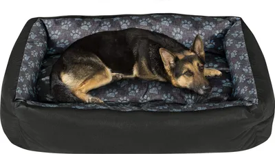 Image de Lit pour chien Corbeille pour chien Canapé pour chien Lit pour animal pour petits, moyens et grands chiens - Lavable - Taille L - Noir et gris - Patte en lin