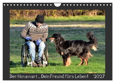 Produktbild von Der Hovawart... Dein Freund fürs Leben! (Wandkalender 2027 DIN A4 quer), CALVENDO Monatskalender
