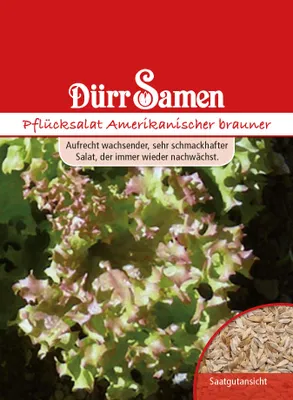 Produktbild von Dürr-Samen - Pflücksalat Amerikanischer Brauner - Saatgut - 0028