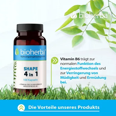 Obrázek produktu pro Bioherba | Lecitin, Kelp, B-6 a jablen ocet