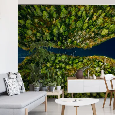 Produktbild von Muralo XXL Vlies FOTOTAPETE Fluss BaeUME Aussicht von oben 3D Effekt (B) 368 cm x (H) 280 cm Tapete Wandtapete WOHNZIMMER SCHLAFZIMMER 4624