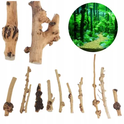 Produktbild von Aquarium Wurzel Tall Wood Set, 10 Stück, 20-50 cm, natürliche Deko-Wurzeln für Süßwasser, Aquascaping und Garnelen