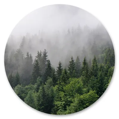 Produktbild von Sticker Kreis BÄUME im Nebel Wald Pflanzen Natur Grün Landschaft 3D Wanddeko Aufkleber Wandtattoo Wohnzimmer Esszimmer 100 cm x 100 cm