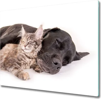 Produktbild von Glas Herdabdeckplatte 60x52 cm Spritzschutz Glasabdeckplatte Schneidebrett Hund und Katze