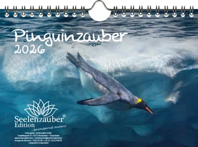 Produktbild von Pinguinzauber DIN A5 Kalender für 2026 Pinguin - Seelenzauber