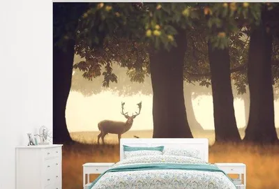 Produktbild von Bilderrahmen - Wandbild Bäume - Wald - Breite 375 cm x Höhe 300 cm