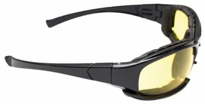 Image de Lunettes de protection Eagle INDRO
