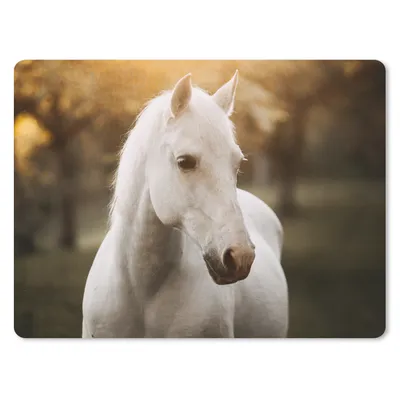 Produktbild von MuchoWow® Mauspad Mousepad Pferd - Sonne - Herbst - Tiere - Natur 40x30 cm - Mousepads - Maus Mat - Pad - Mausunterlage - Anti Rutsch