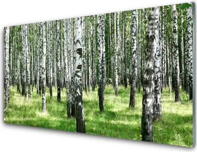 Produktbild von Acrylglasbilder 100x50 Wandbild Druck Wald Natur