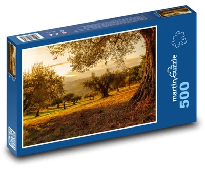Zdjęcie produktu dla martinpuzzle - Puzzle 500 - Drzewa, sad