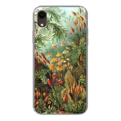 Produktbild von MuchoWow® Handyhülle Schutzhülle Hülle für iPhone XR Muscinae - Kunst - Alte Meister Silikon Softcase Handy Hülle - Schutzdeckel
