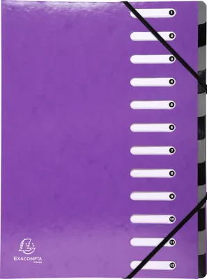 Image de Exacompta 6x Trieur Harmonika Iderama 12 compartiments Violet 53926E