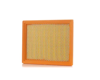Produktbild von Luftfilter PURFLUX A364 für NISSAN JUKE (F15) Filtereinsatz