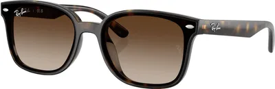 Produktbild von Ray-Ban Rechteckige Sonnenbrille RB4461D, Braun One Size