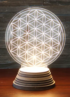 Immagine prodotto di Luce d'ambiente a LED per fiori Berk EN-137 con base in legno