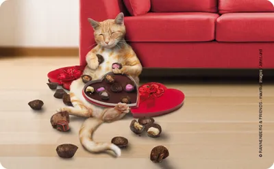 Produktbild von Frühstücksbrettchen Katze, Naschkatze,  Frühstücksbrett Schneidebrettchen Vesperbrett Bretter