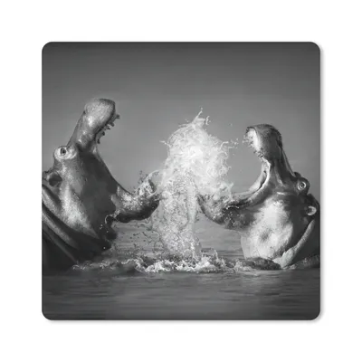 Produktbild von MuchoWow® Mauspad Mousepad Tiere - Nilpferd - Wasser - Schwarz - Weiß 20x20 cm - Mousepads - Maus Mat - Pad - Mausunterlage - Desk Mat - Bureauartikeln