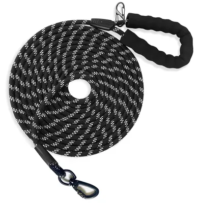 Trainingsleine für Hunde, 10 m, reflektierend, mit Karabiner