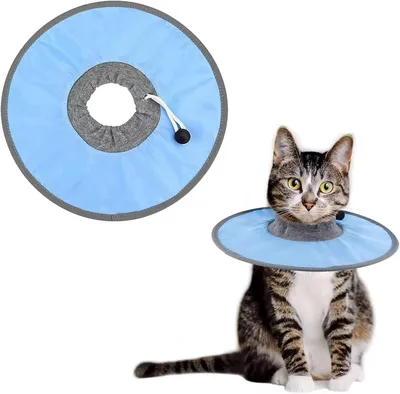 Produktbild von Anti-Leck-Katzenhalsband, postoperativer Katzenbody für weibliche Tiere, Katzenrehabilitation, Größe L, Katzenrehabilitationshalsband, Halskrause, für Welpen, kleine Hunde und Katzen (Blau)