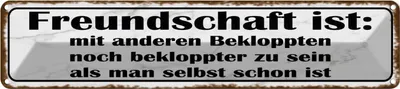 Produktbild von vianmo Blechschild 10x46 cm Freundschaft ist noch bekloppter Spruch Zitat