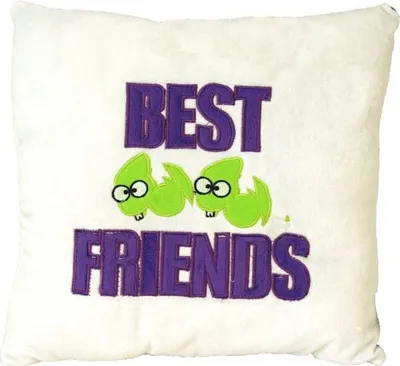Produktbild von Plüschkissen Kissen Zierkissen Sofakissen Spruchkissen bestickt Best Friends weiß lila
