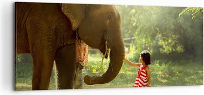 Produktbild von Bild auf Leinwand - Leinwandbild - Elefant Tier - 120x50cm - Wand Bild - Wanddeko - Wandbilder - Leinwanddruck - Bilder - Kunstdruck - Wanddekoration - Leinwand bilder - Wandkunst - AB120x50-3884