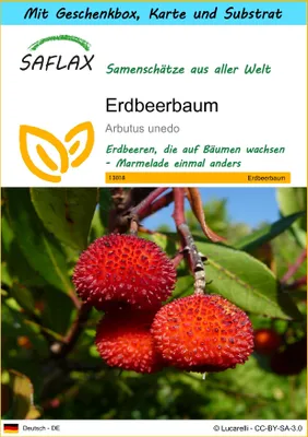 Produktbild von SAFLAX Geschenk Set - Erdbeerbaum - Arbutus unedo - 50 Samen - Mit Geschenkbox, Versandaufkleber, Geschenkkarte und Anzuchtsubstrat