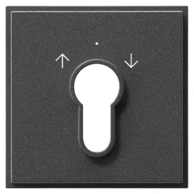 Immagine prodotto di Piastra centrale Gira Chiave TX44 066467