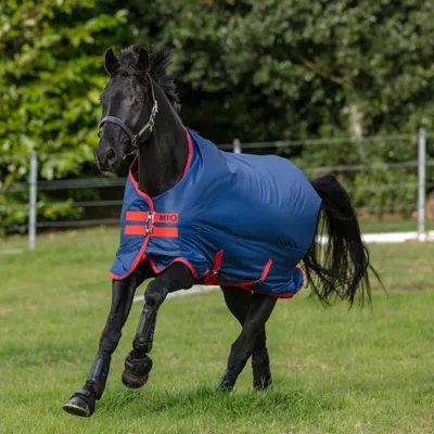 Produktbild von Horseware Ireland Outdoordecke 0g Mio Turn Out Lite Blue/Darkblue/Red 145 (6'6)