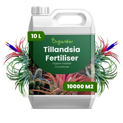 Zdjęcie produktu dla Nawóz Płynny dla Tillandsie 10 L – 2-1-8 NPK – Do Tillandsie – Do Optymalny Wzrost, Silne Rośliny i Długotrwała Vitalitu – Organifer