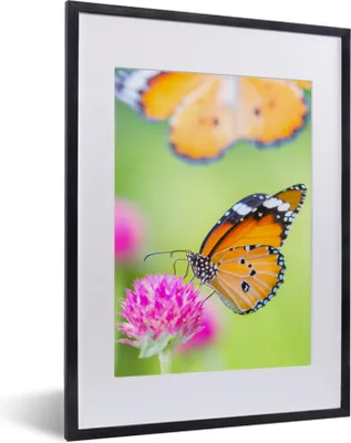 Produktbild von MuchoWow® Gerahmtes Poster Insekten - Schmetterlinge - Blumen 30x40 cm - Poster mit Schwarzem Bilderrahmen Wandposter Rahmen Foto Bilder - Wandposter Schlafzimmer